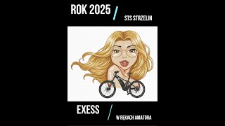 Single track Strzelin STS EXESS ebike