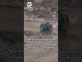 Infantry Fighting Vehicle Roars in Dust