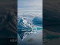 Polar Iceberg Field Nature Escape | Full 2hr Journey 👇