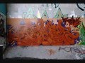 Montreal graffiti  maysr