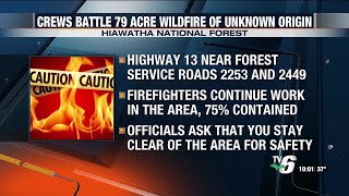 Crews work to contain fire of unknown origin in Hiawatha National Forest