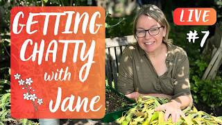 GETTING CHATTY WITH JANE - live garden chatting at 7pm!