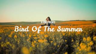 Bird of the Summer // A Fine Frenzy // Lyric Video