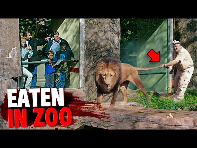 These 3 Men Were EATEN ALIVE After Sneaking Into Zoo Enclosure! class=