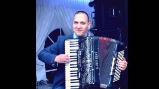 Biljana platno belese by Sasko Velkov-Accordion