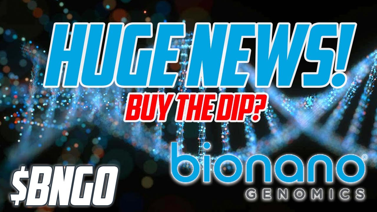 TIME TO BUY MORE BNGO? BUY THE DIP OR WAIT?