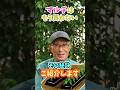 家庭菜園や農園の夏野菜栽培でマルチはもう買わない!栽培の秘訣!【農家直伝】#shorts