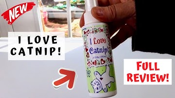 I LOVE CATNIP!    ❤️   Pet MasterMind Catnip Spray  - Review ✅