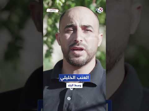 العنب من أهم ثمار الخليل بعد الزيتون