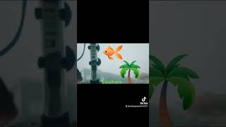 Keindahan Lauhan Yg Luar Biasa