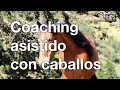 Coaching asistido con caballos - Experiencias