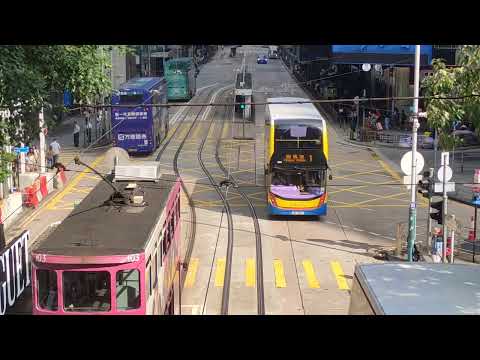 WW Crossing 🚸 #walkingtourvlog #hongkong #city #godblesseveryone