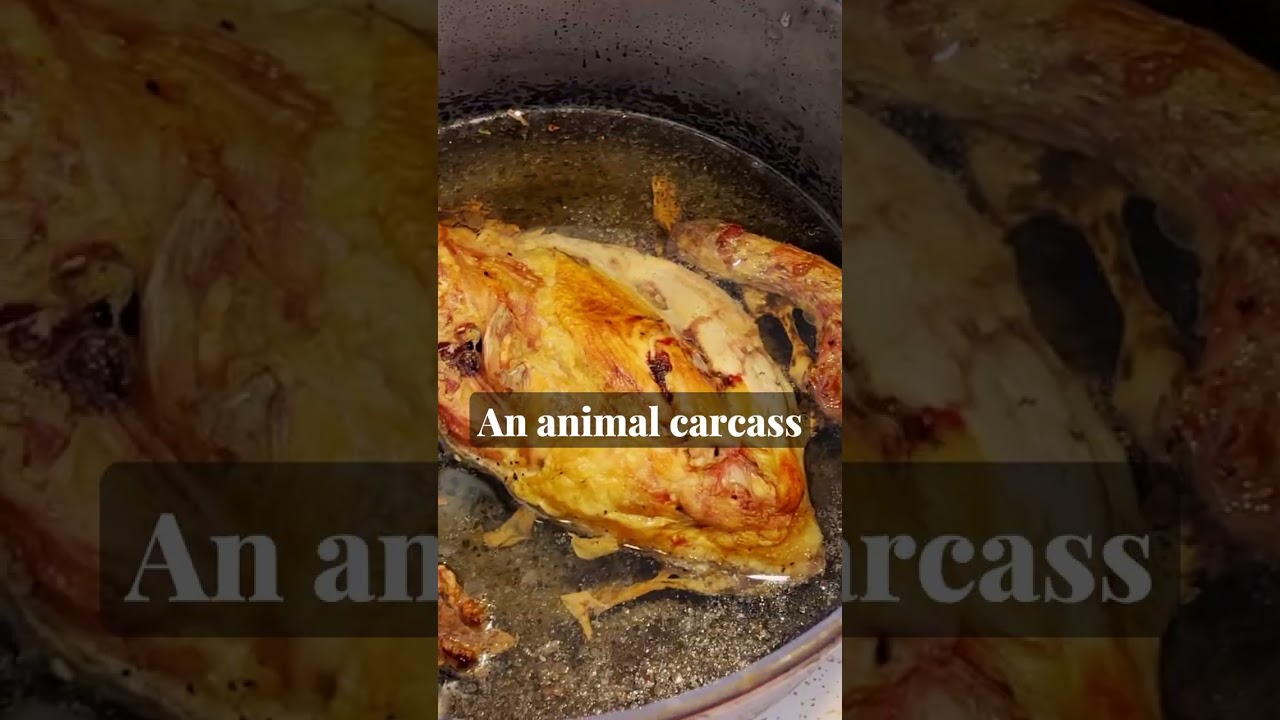 Are Microbes the Most &ldquo;Sustainable&rdquo; Gardening Tool?