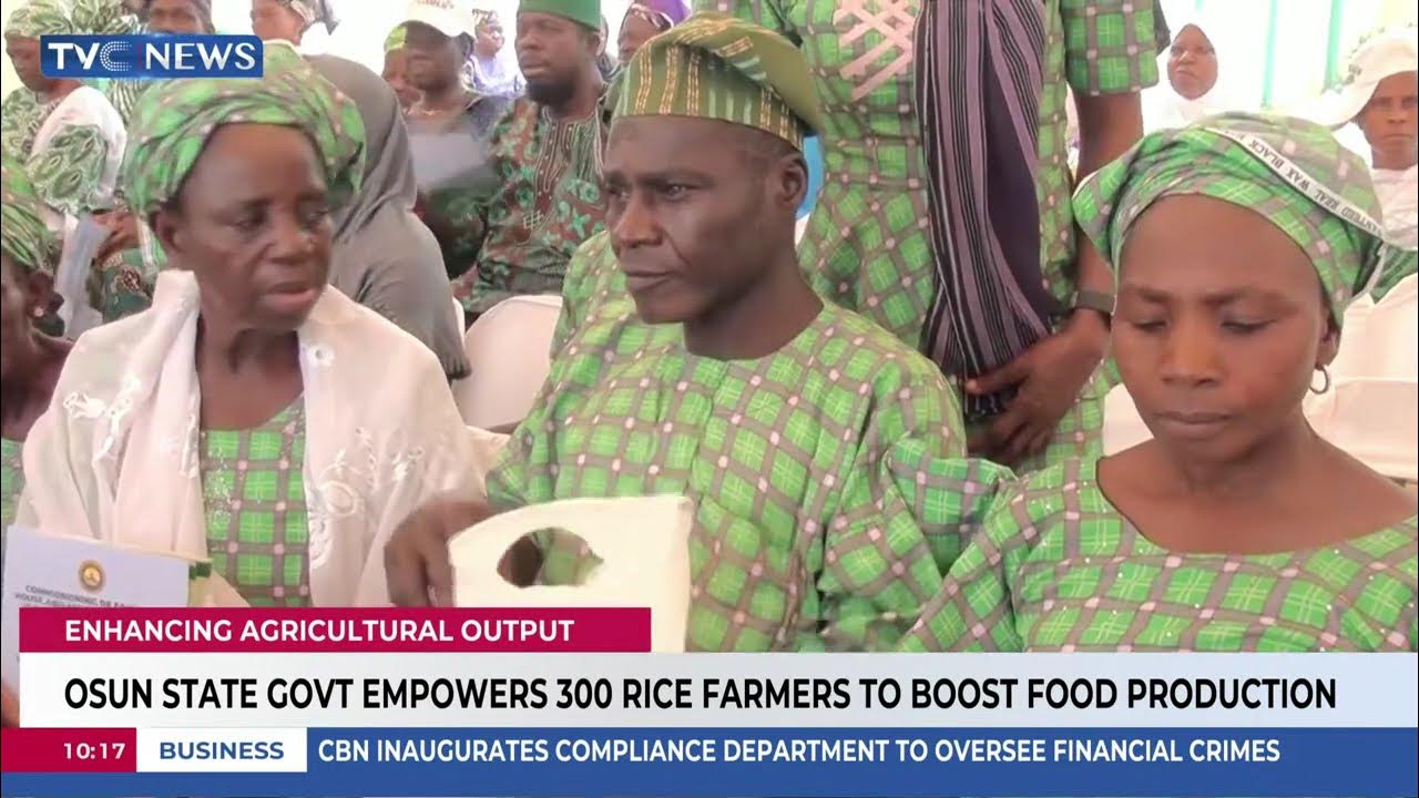Osun State Government Empowers 300 Rice Farmers To Boost Food Production