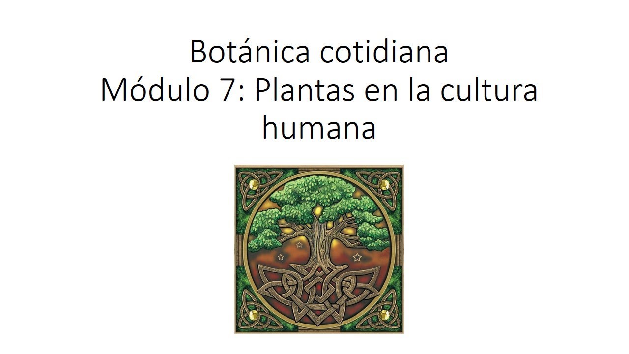 Botánica Cotidiana: plantas en la cultura humana