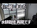 【水耕栽培大学】水耕栽培の環境が変わりました動画を再開します!!/The hydroponic environment has changed and I will resume YouTube