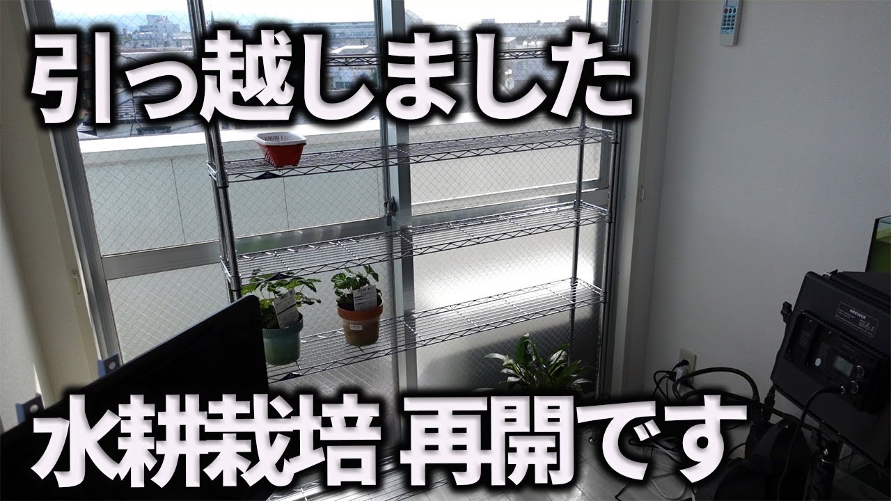 【水耕栽培大学】水耕栽培の環境が変わりました動画を再開します!!/The hydroponic environment has changed and I will resume YouTube