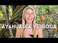 Ayahuasca vs iboga   my thoughts  experiences