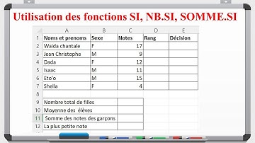 Les tableurs : Utilisation des fonctions SI, NB.SI, SOMME.SI, RANG, MIN