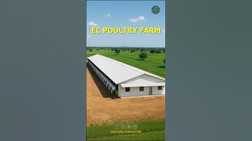 Environment Controlled (EC) Poultry Farm Shed | The Next Level of Farming