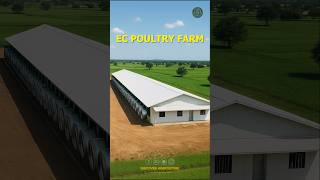 Environment Controlled Ec Poultry Farm Shed The Next Level Of Farming