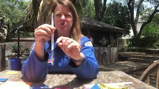 Krueger School of Applied Technologies - NASA Straw Rocket