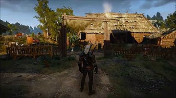 The Witcher 3: Decoctions and meditation