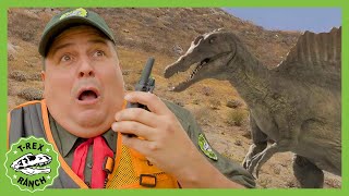 SPINOSAURUS in Herbivore Valley! T-Rex Ranch Dinosaur Videos