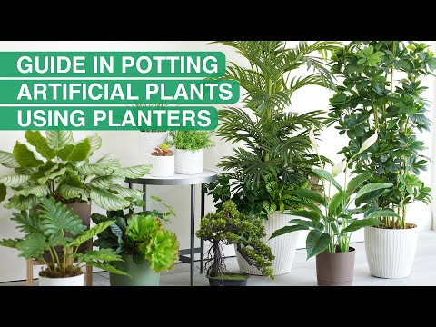 Video: Kun je planten in schuimbakken kweken: tips voor het kweken van planten in schuimplantenbakken