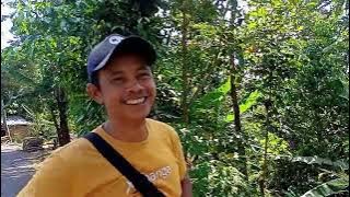 tarik jalur tv kabel desa tembong