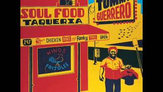 Sports Performance Tommy Guerrero - Terra Unfirma