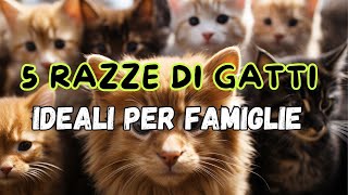 5 RAZZE DI GATTI IDEALI PER FAMIGLIE