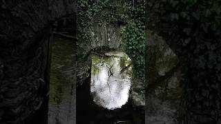 Fixing a Hole #thebeatles #bretagne #nature #hiking #morbihan #forest #song