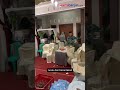 Viral Sapi Kurban Naik ke Pelaminan, Tamu Pernikahan Panik