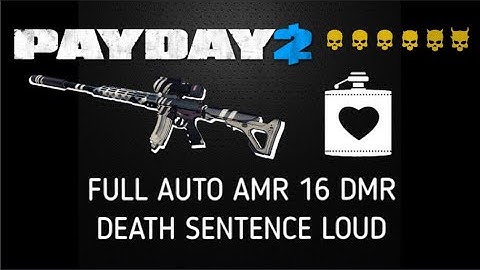 Payday 2  Full-Auto AMR 16 DMR in DS