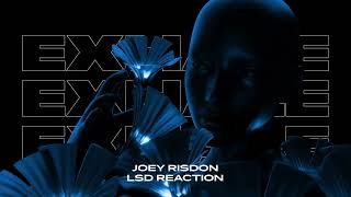 Joey Risdon - LSD Reaction