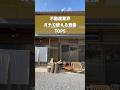 不動産業界でガチで有利になる資格TOP5 #shorts