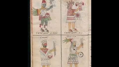 GW1 - The Florentine Codex