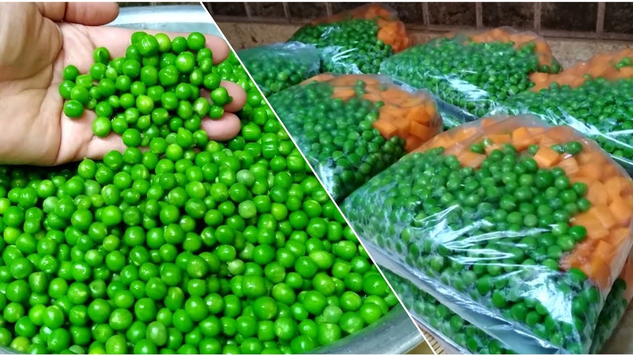 تفريز البسلة بالجزر لو ٥٠ كيلو بسرعة جدا هتفرزيها بأداة واحدة موجودة فى بيتك وسر الخضار والطعم