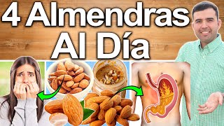 4 Almendras Al Día ¿Para Qué Sirven? - Beneficios Para Tu Salud Y Belleza