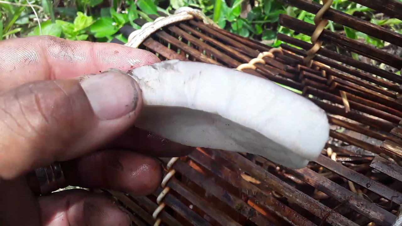 melhor isca para  pegar camarão