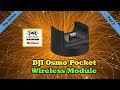 Osmo Pocket Wireless Module - Everything You'll Want To Know