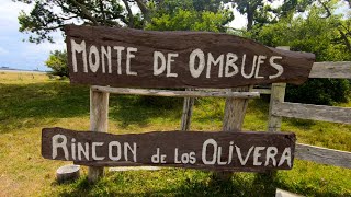 Monte de Ombúes / Rocha / Uruguay (Parte 2/2)