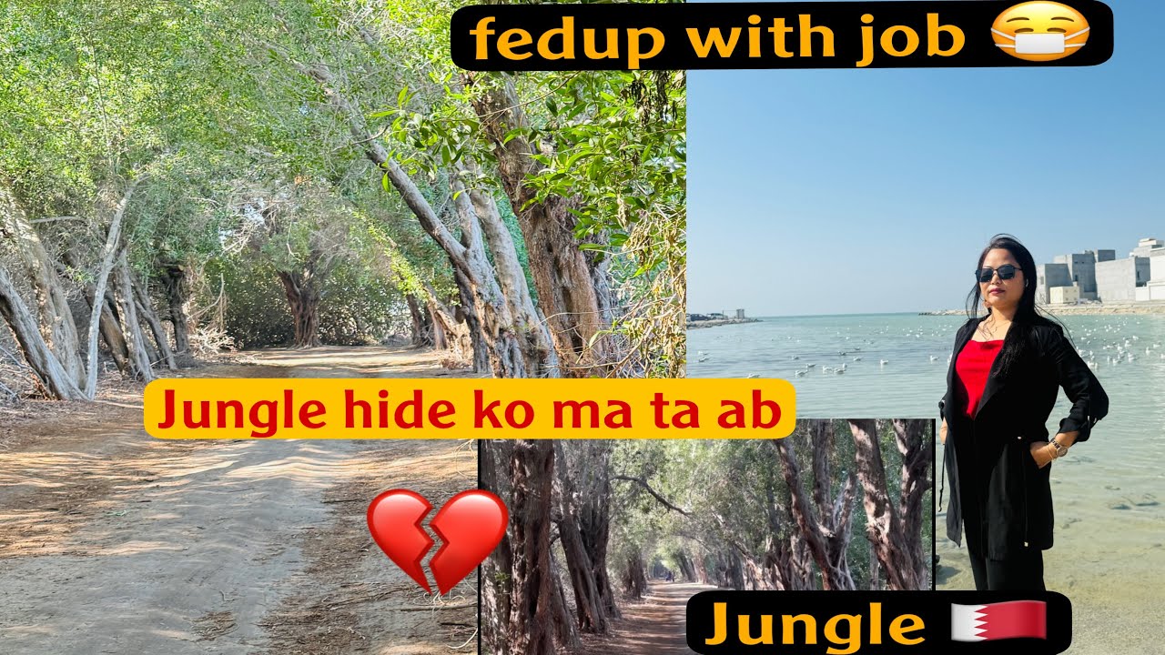 #my new vlog#i found biggest jungle in Bahrain 🇧🇭#karzakan forest in ...