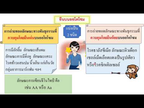 ทบทวน_ยีนบนออโตโซม