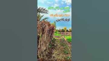 #هدى_اليمن #قرآن #اكسبلور #اذكار_الصباح #تيك_توك #أجمل_تلاوة  #المصحف #القرآن #لايك #ابوذرالفلوجي