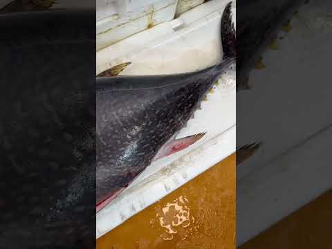 김밥명가