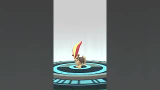 [Pokemon GO] Evolving Litleo into Pyroar! #pokemongo #pokemon #evolution #pyroar