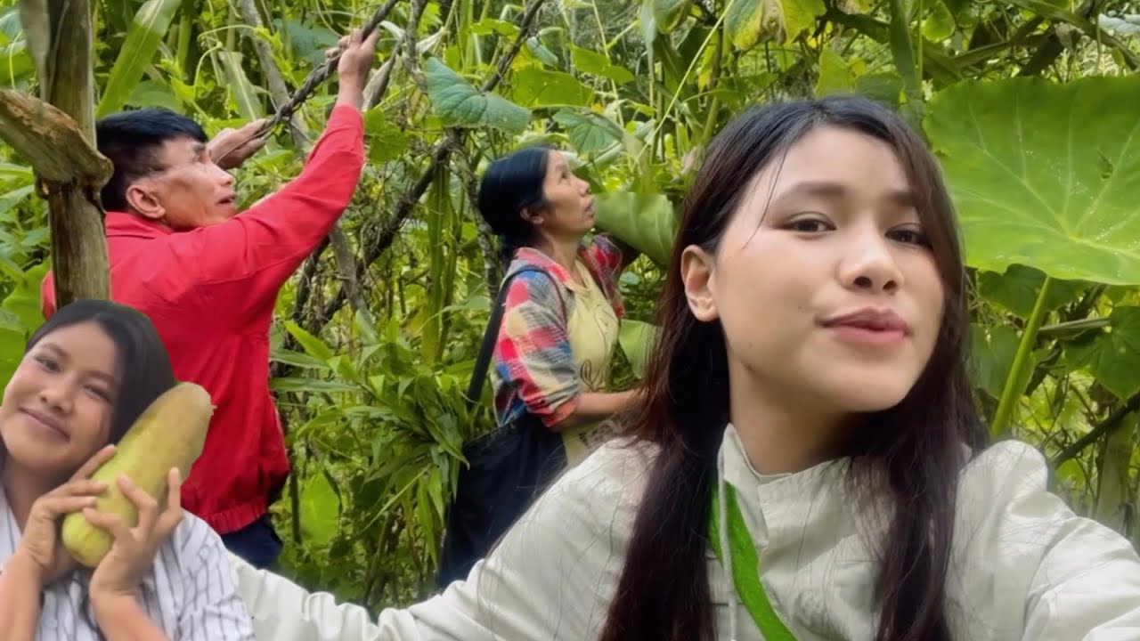 LIFE IN MY VILLAGE |  CUCUMBERS🥒 😍 