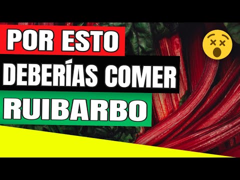 Vídeo: Ruibarbo